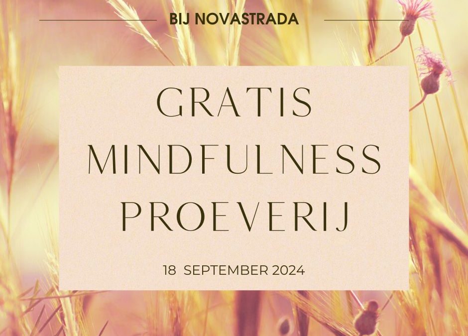 Mindfulness proeverij