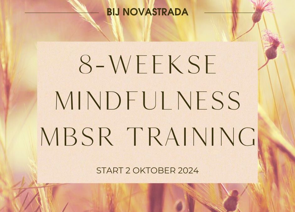 8-weekse Mindfulness Training (MBSR)